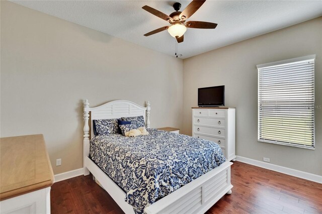 3411 Knoxville Pl, Plant City, FL 33566 - photo 44