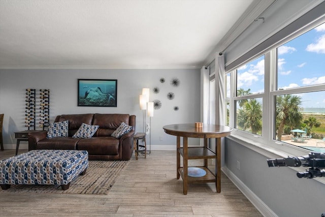 1230 Gulf Blvd Unit 304, Clearwater, FL 33767 - living area with ornamental molding, light wood-style floors, and baseboards