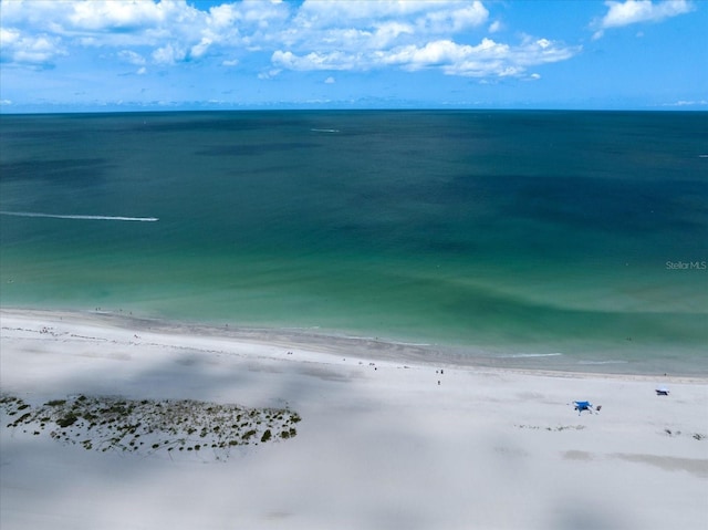 1230 Gulf Blvd Unit 304, Clearwater, FL 33767 - water view with local beach