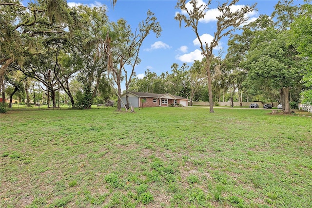 11029 Clay Pit Rd, Tampa, FL 33610 - view of green lawn featuring view of wooded area