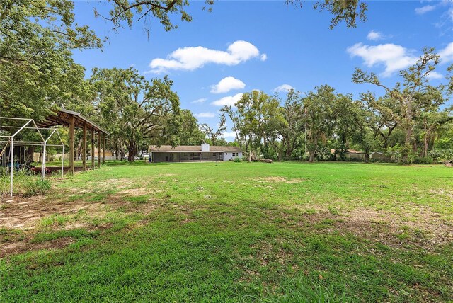 11029 Clay Pit Rd, Tampa, FL 33610 - view of yard