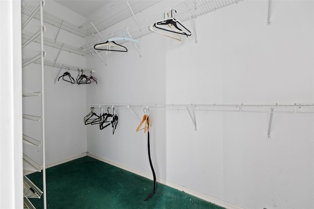 333 Midway Is, Clearwater Beach, FL 33767 - view of walk in closet