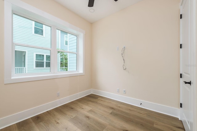 1413 Bayshore Blvd Unit 11, Dunedin, FL 34698 - photo 7
