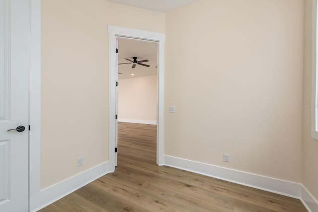 1413 Bayshore Blvd Unit 11, Dunedin, FL 34698 - photo 8
