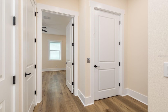 1413 Bayshore Blvd Unit 11, Dunedin, FL 34698 - photo 20
