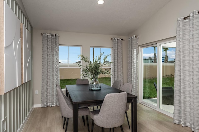 1201 Tidal St, Haines City, FL 33844 - dining space with light wood-style floors, plenty of natural light, and baseboards