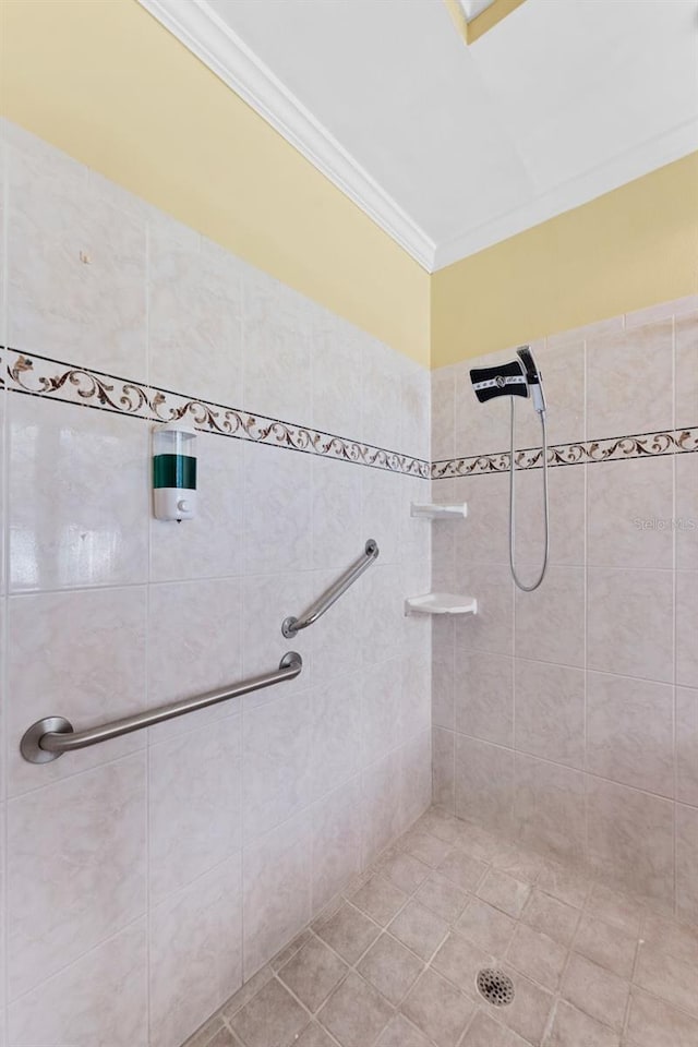 15123 Bald Eagle St, Tampa, FL 33625 - full bath with crown molding and tiled shower