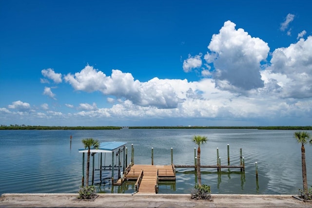 1114 Mandalay Pt, Clearwater Beach, FL 33767 - photo 28
