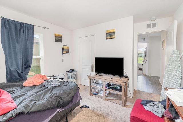 1741 Canaan Loop, Dundee, FL 33838 - bedroom with carpet