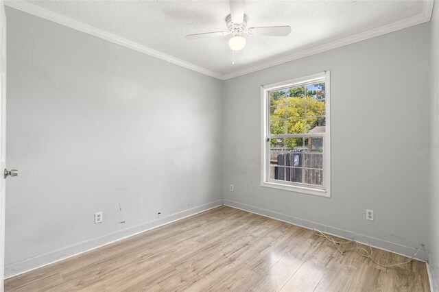 3953 10th Ave S, Saint Petersburg, FL 33711 - photo 12