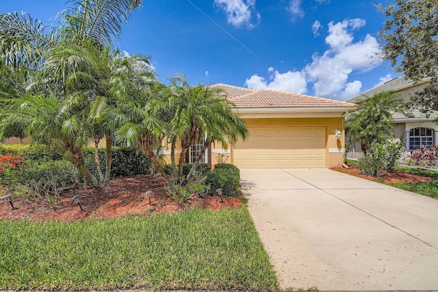 244 Golden Harbour Trl, Bradenton, FL 34212 - photo 1