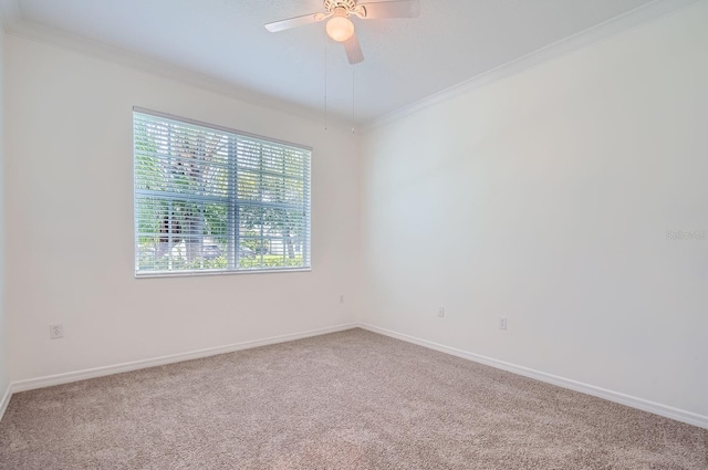 244 Golden Harbour Trl, Bradenton, FL 34212 - photo 20