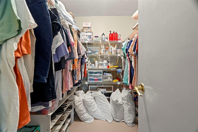 214 Caryl Way, Oldsmar, FL 34677 - view of walk in closet