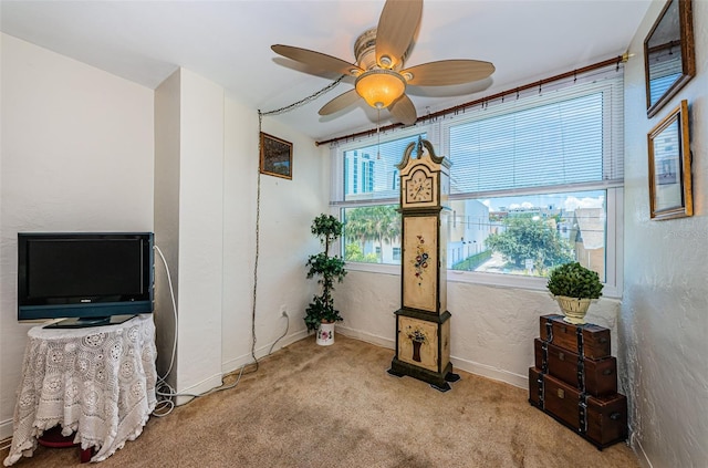 841 4th Ave N Unit 21, Saint Petersburg, FL 33701 - photo 18