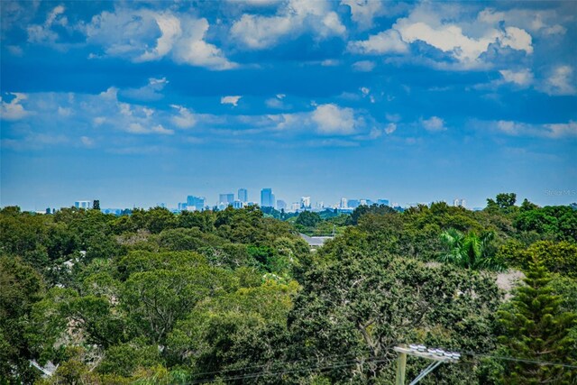 841 4th Ave N Unit 21, Saint Petersburg, FL 33701 - photo 59