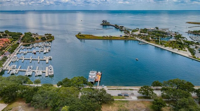 841 4th Ave N Unit 21, Saint Petersburg, FL 33701 - photo 78