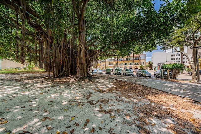 841 4th Ave N Unit 21, Saint Petersburg, FL 33701 - photo 82