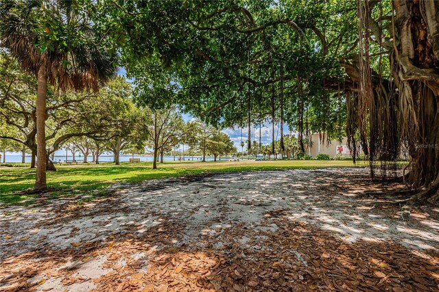 841 4th Ave N Unit 21, Saint Petersburg, FL 33701 - photo 83