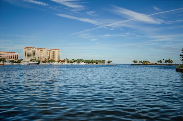 841 4th Ave N Unit 21, Saint Petersburg, FL 33701 - photo 85
