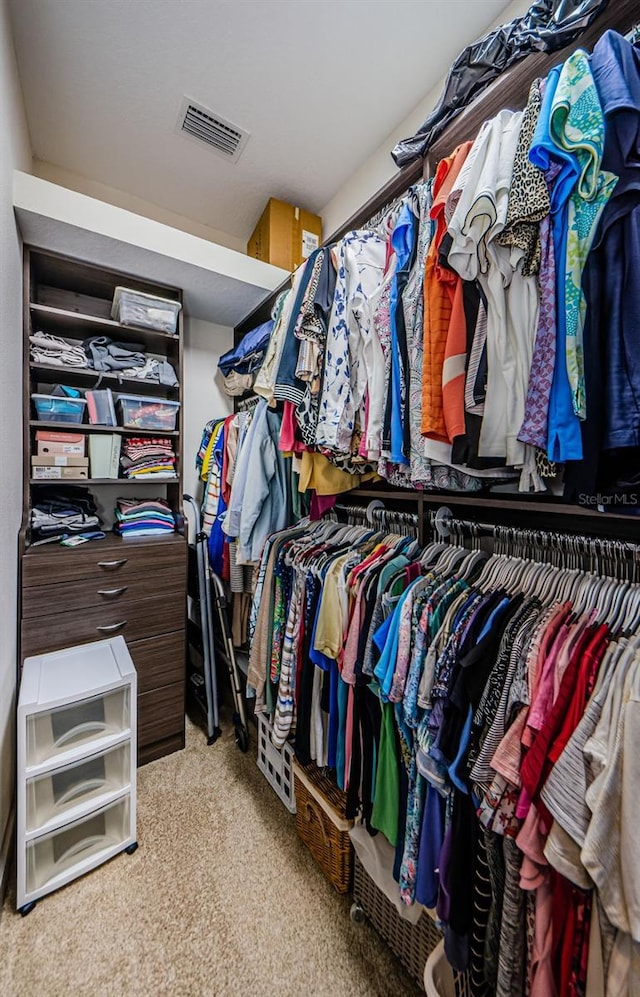 1012 Tuscany Dr, Trinity, FL 34655 - spacious closet featuring light carpet