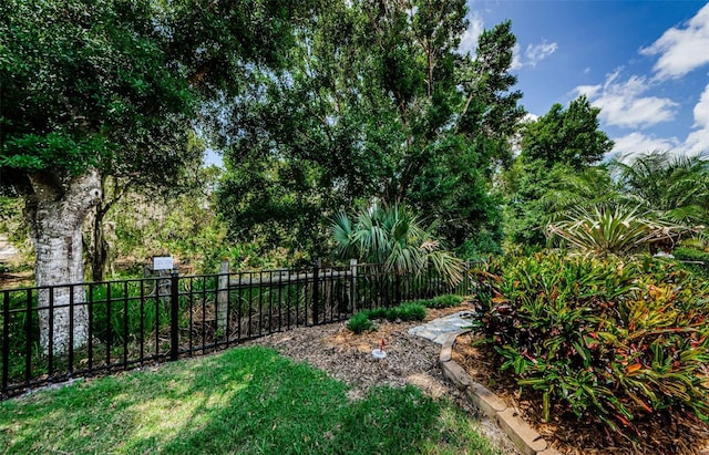 1012 Tuscany Dr, Trinity, FL 34655 - view of yard