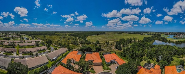 1012 Tuscany Dr, Trinity, FL 34655 - aerial view of a nearby body of water and a heavily wooded area