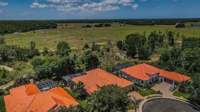 1012 Tuscany Dr, Trinity, FL 34655 - view from above of property