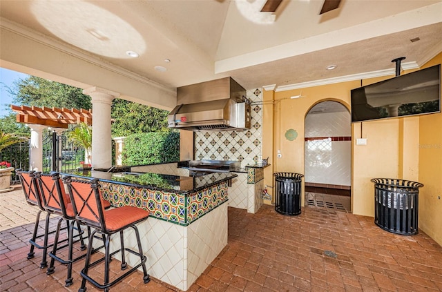 1012 Tuscany Dr, Trinity, FL 34655 - view of patio with an outdoor kitchen and a pergola