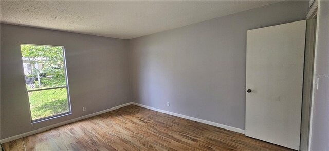 2503 Elm St, Seffner, FL 33584 - spare room with healthy amount of natural light, wood finished floors, baseboards, and a textured ceiling
