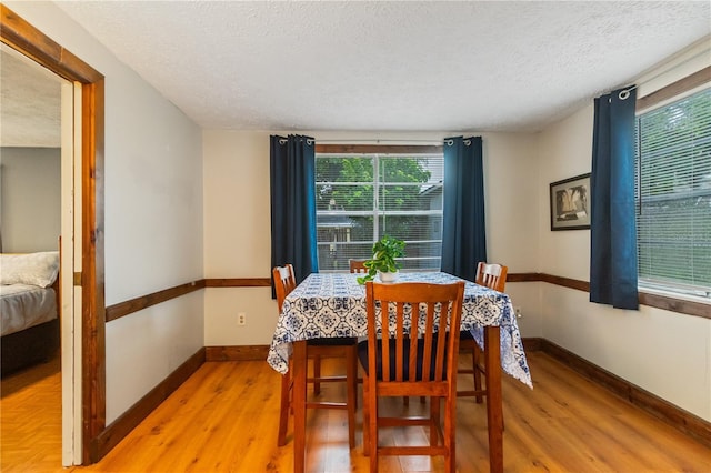 4318 Mesa Dr, New Port Richey, FL 34653 - dining area with light wood-style floors, plenty of natural light, and a textured ceiling