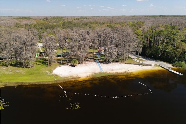 10219 Huntley St, New Port Richey, FL 34654 - bird's eye view of a heavily wooded area and a nearby body of water