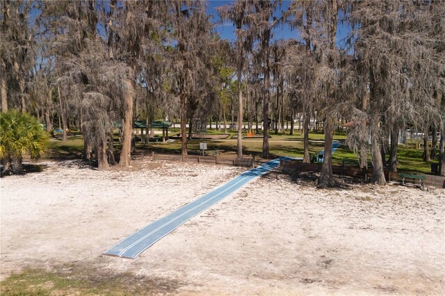 10219 Huntley St, New Port Richey, FL 34654 - surrounding community featuring view of scattered trees