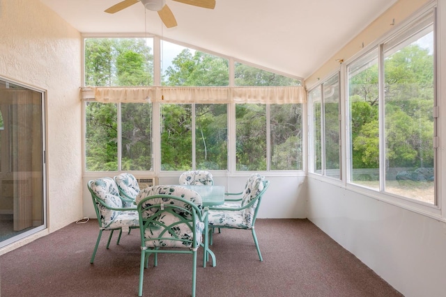 921 Linn Harbor Ct, Tarpon Springs, FL 34689 - sunroom / solarium featuring ceiling fan, healthy amount of natural light, vaulted ceiling, and outdoor dining area
