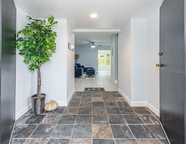 5625 Atlantic Ave N, Saint Petersburg, FL 33703 - photo 3