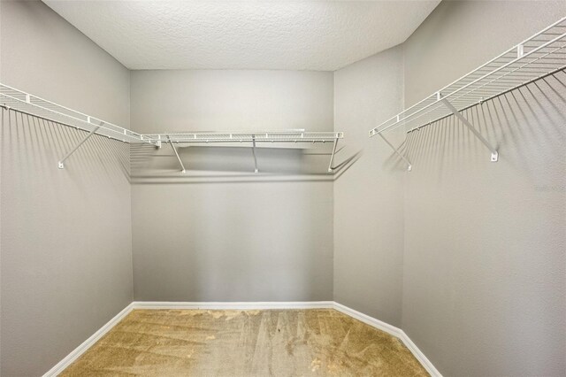 7509 Tangle Bend Dr, Gibsonton, FL 33534 - walk in closet with carpet flooring