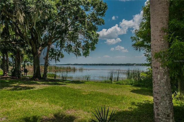4335 Clairidge Way, Palm Harbor, FL 34685 - water view