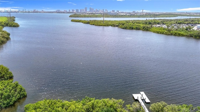 4567 Tuscan Loon Dr, Tampa, FL 33619 - water view featuring skyline