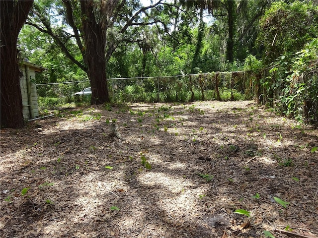 8617 Broad St, New Port Richey, FL 34654 - view of yard