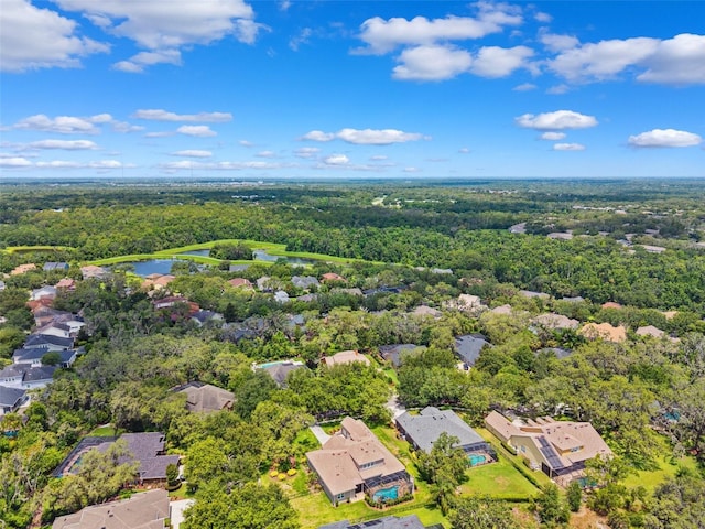 5823 Terncrest Dr, Lithia, FL 33547 - aerial perspective of suburban area with a forest and a nearby body of water