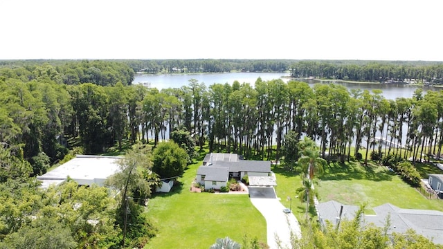 19209 Crooked Ln, Lutz, FL 33548 - bird's eye view of a nearby body of water and a heavily wooded area