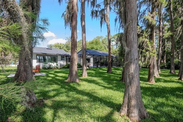 19209 Crooked Ln, Lutz, FL 33548 - view of grassy yard featuring a lanai