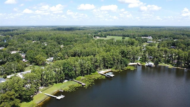 19209 Crooked Ln, Lutz, FL 33548 - bird's eye view of a forest and a large body of water