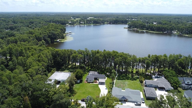 19209 Crooked Ln, Lutz, FL 33548 - aerial overview of property's location featuring a nearby body of water and nearby suburban area