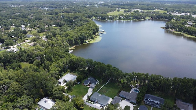 19209 Crooked Ln, Lutz, FL 33548 - aerial view of property and surrounding area with a large body of water