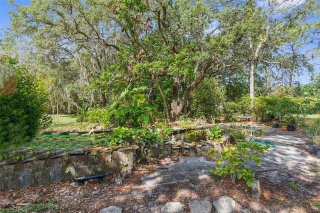 3373 Olson Rd, Spring Hill, FL 34607 - photo 3