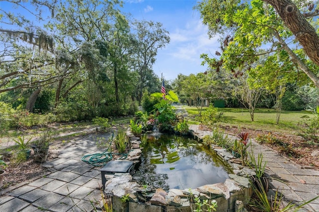 3373 Olson Rd, Spring Hill, FL 34607 - photo 4