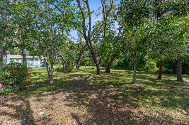 3373 Olson Rd, Spring Hill, FL 34607 - photo 32