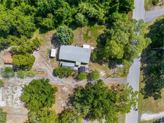 3373 Olson Rd, Spring Hill, FL 34607 - photo 57