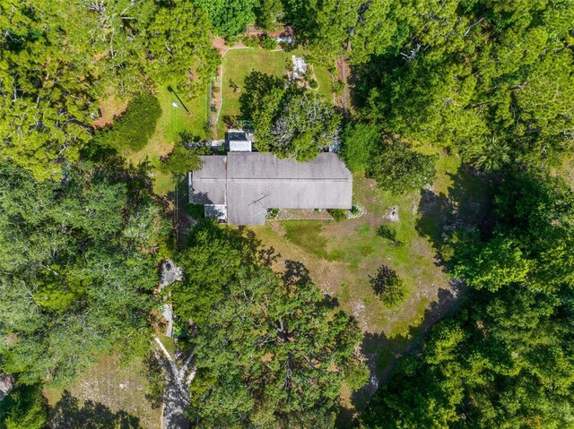 3373 Olson Rd, Spring Hill, FL 34607 - photo 58