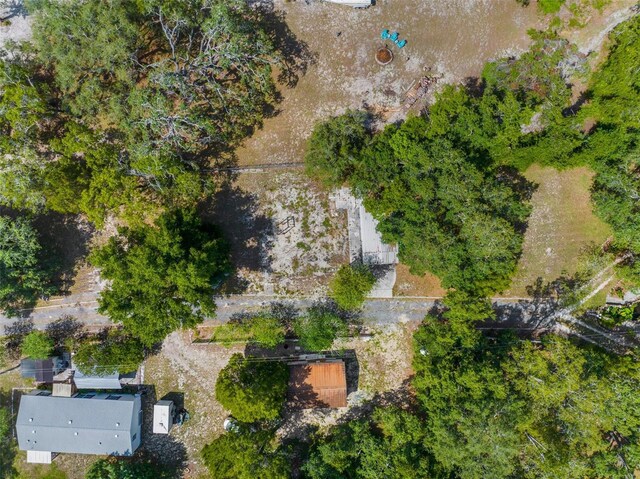 3373 Olson Rd, Spring Hill, FL 34607 - photo 59